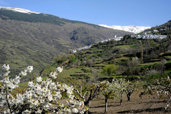 Entorno_Capileira_Hotel_Finca_Los_Llanos