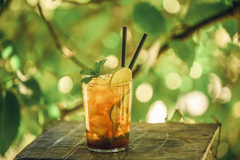 MOJITO_HOTEL_FINCA_LOS_LLANOS